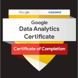 google-data-analytics-professional-certificate